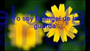 Tu angel de la guarda Arnulfo Jr