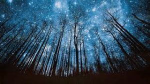 Meditación Guiada para conectarse con tu Angel de la Guarda